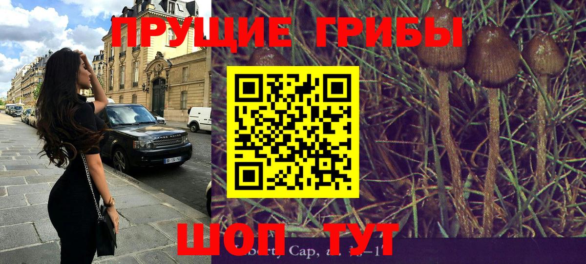 Ярцево  Псилоцибиновые грибы Cubensis  Псилоцибиновые грибы GOLDEN TEACHER  Вход с VPN 