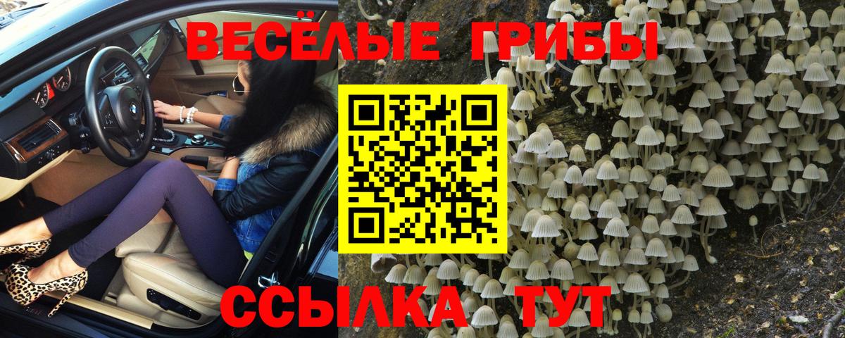 Псилоцибиновые грибы мухоморы Ярцево